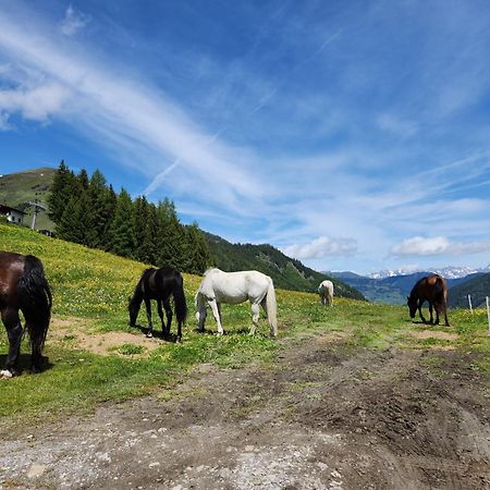 Lipphuette Top Lage Mit Traumhafter Aussicht Rauris Eksteriør billede
