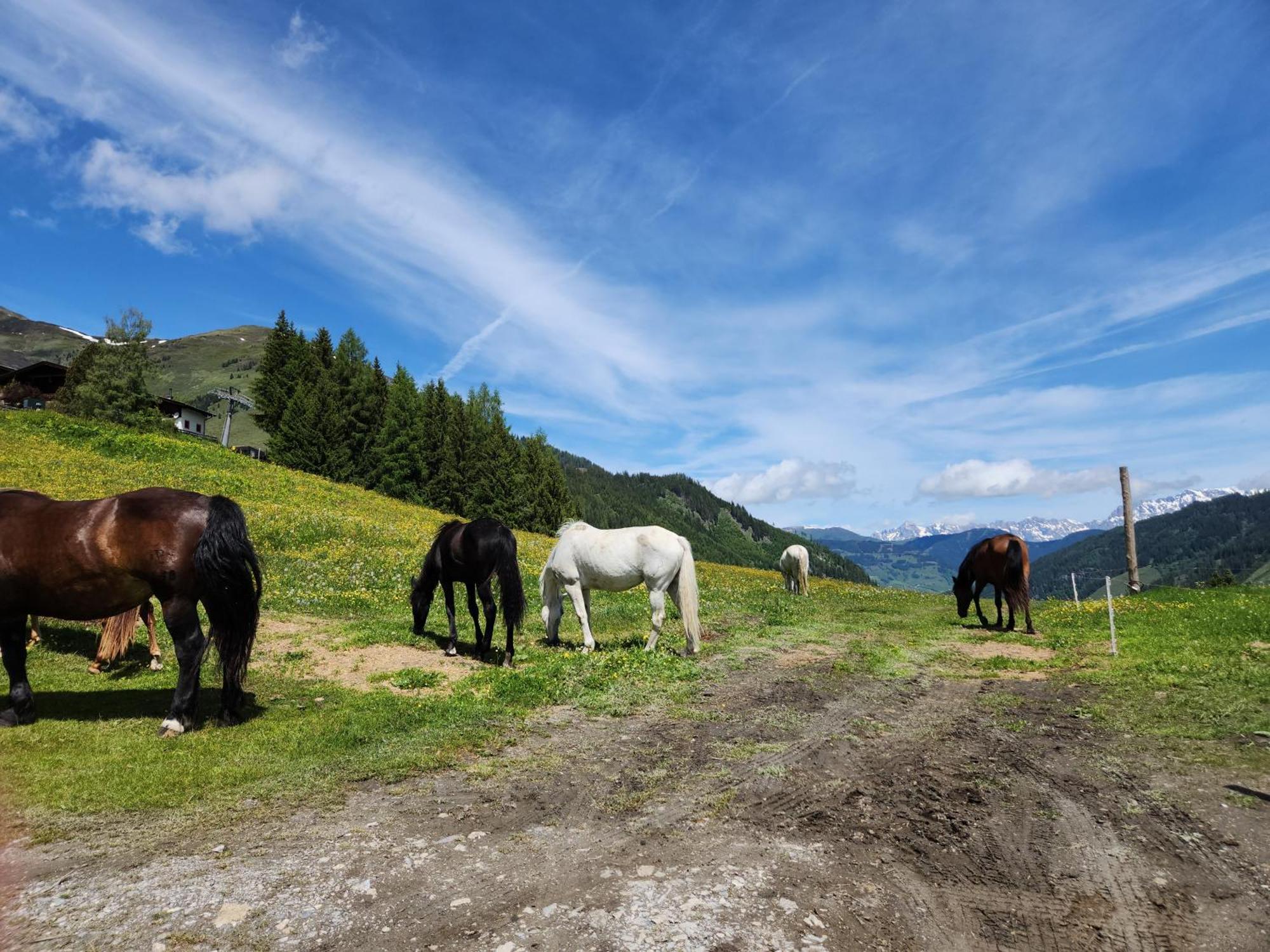 Lipphuette Top Lage Mit Traumhafter Aussicht Rauris Eksteriør billede